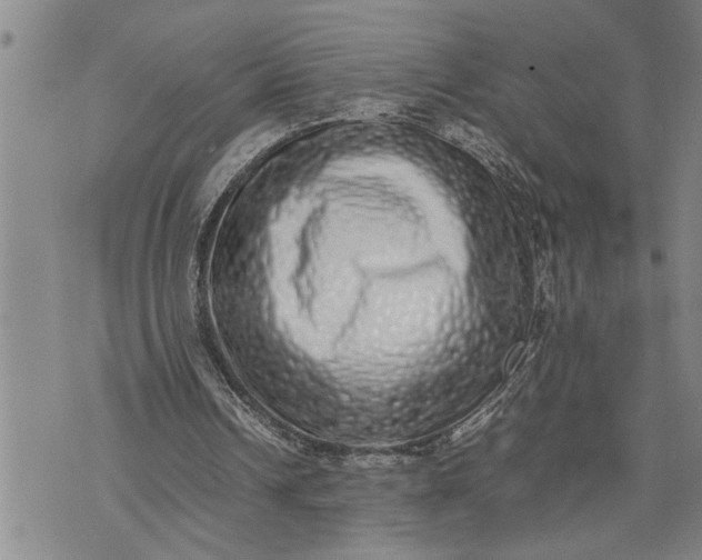 X0000075330242200609250954