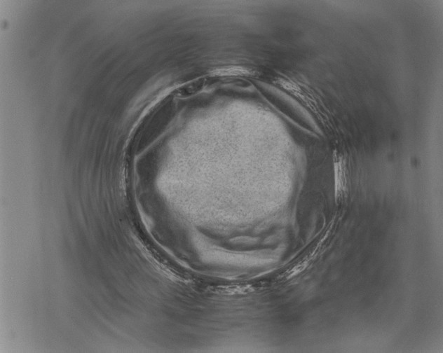 X0000075330243200609250954
