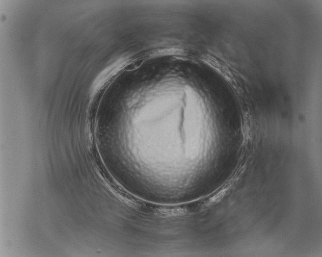 X0000075330245200609250954