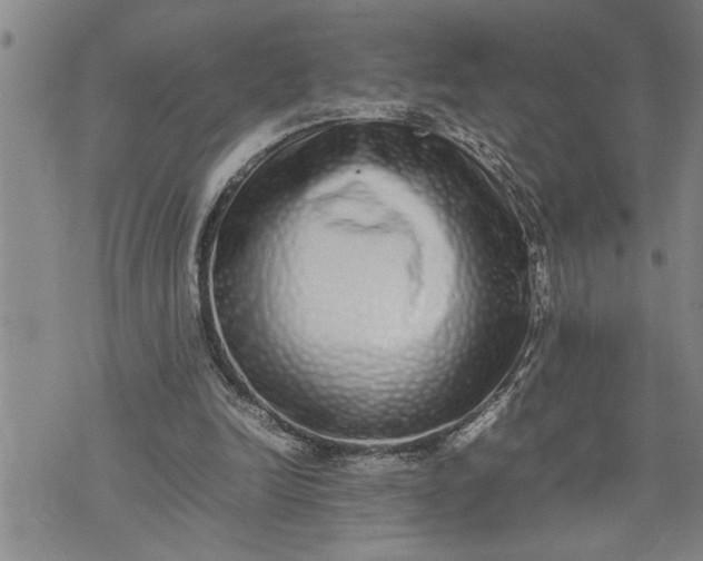 X0000075330246200609250954