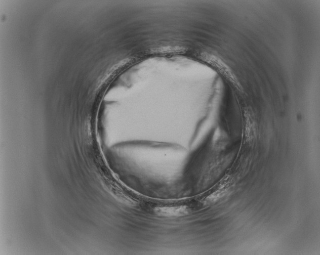 X0000075330251200609250954