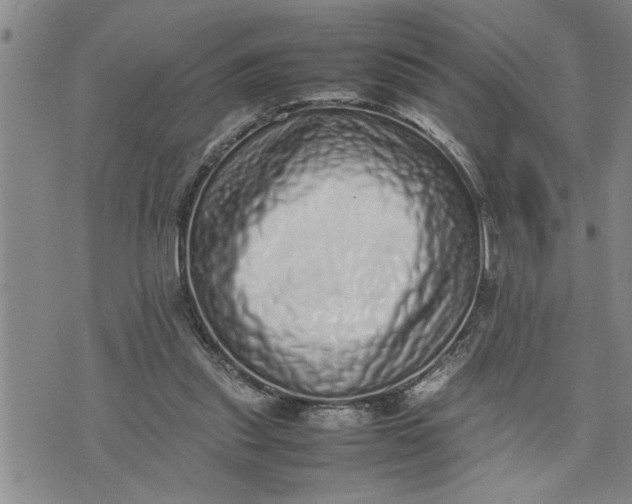X0000075330253200609250954