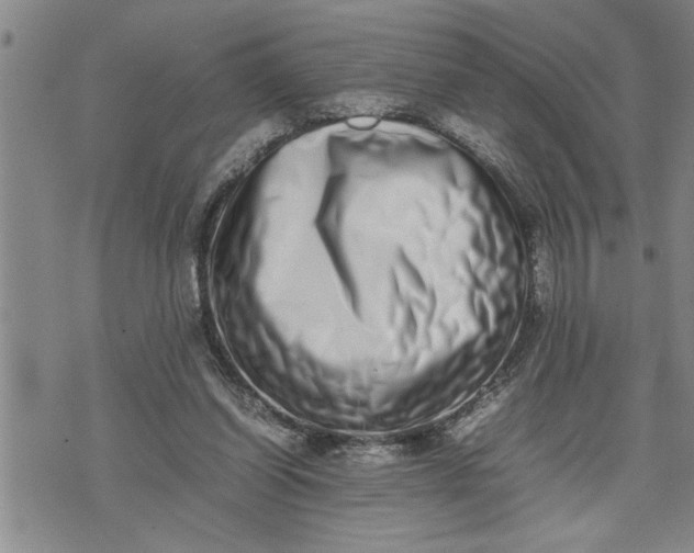 X0000075330254200609250954