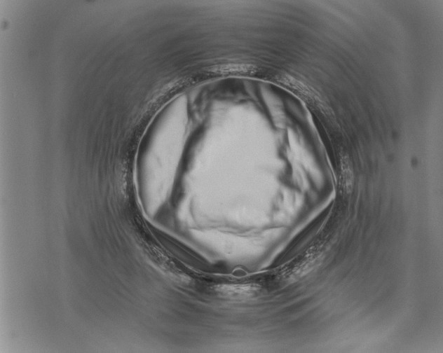 X0000075330255200609250954