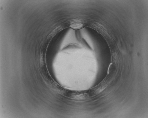 X0000075330267200609250954