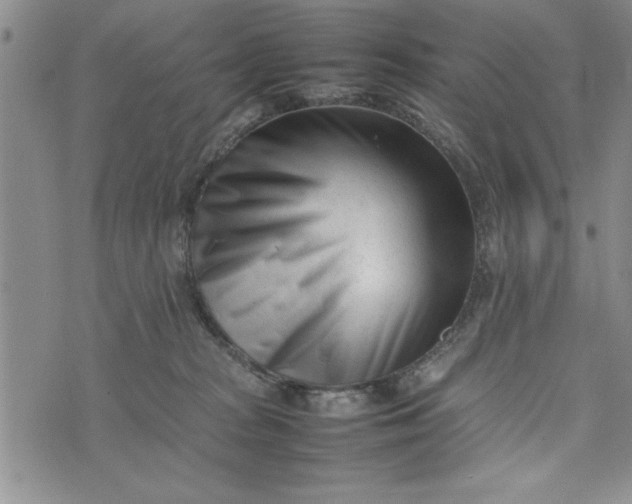 X0000075330277200609250954