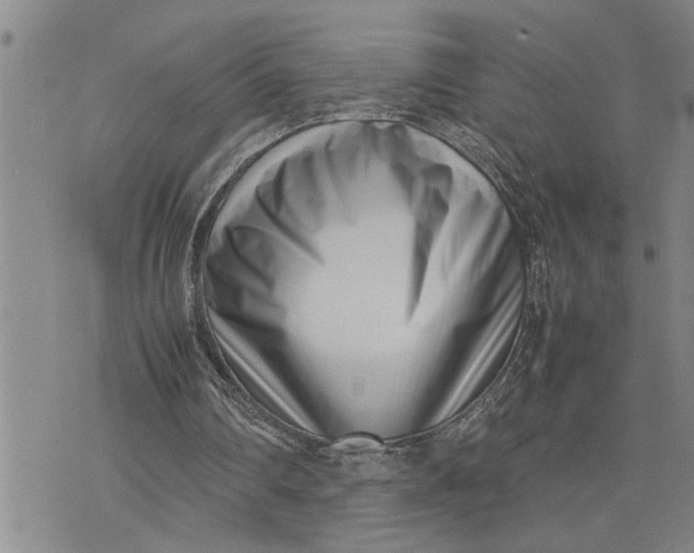 X0000075330290200609250954