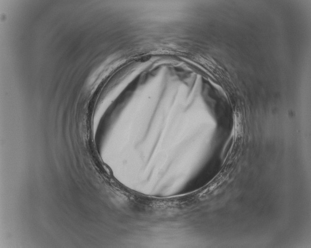 X0000075330291200609250954