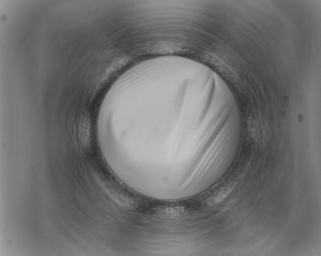 X0000075330304200609250953