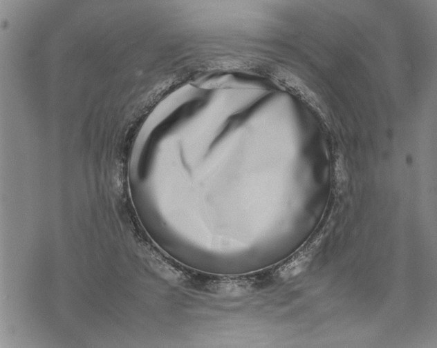 X0000075330305200609250953