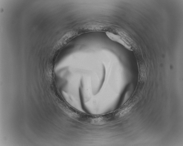 X0000075330309200609250953