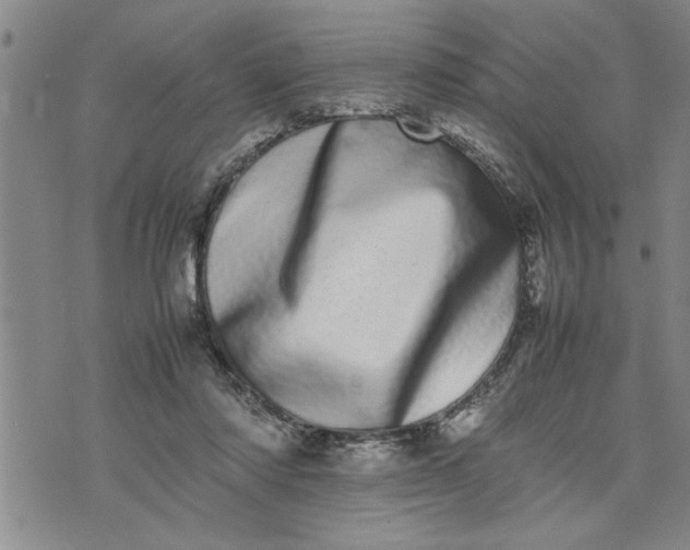X0000075330310200609250953