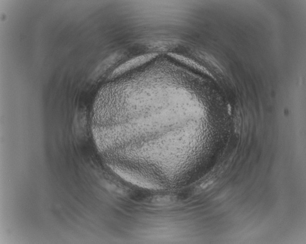 X0000075330314200609250953