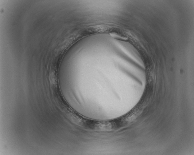 X0000075330317200609250953