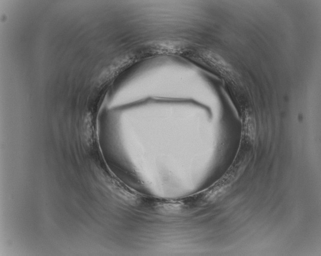 X0000075330318200609250953