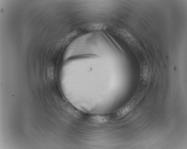 X0000075330326200609250953