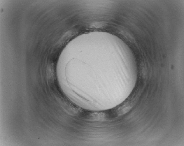 X0000075330328200609250953