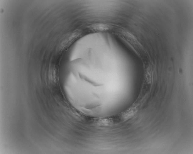 X0000075330330200609250953