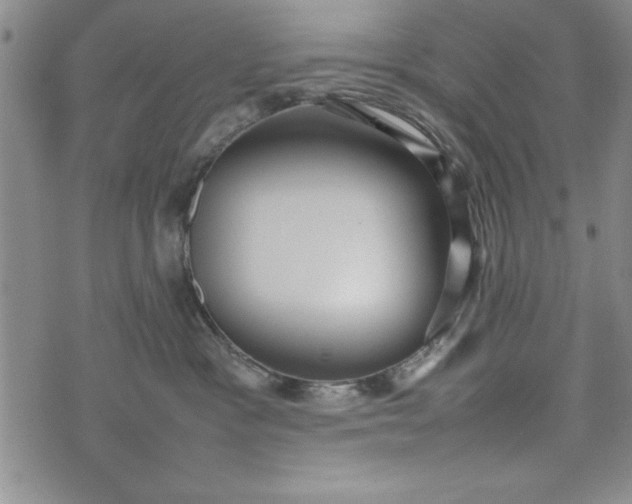 X0000075330333200609250953