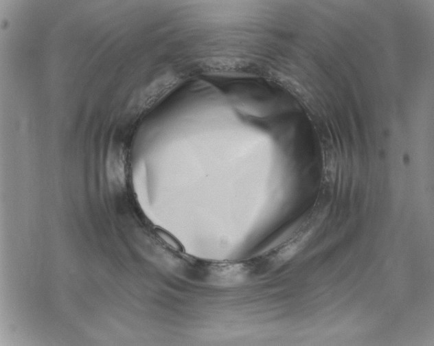X0000075330334200609250953