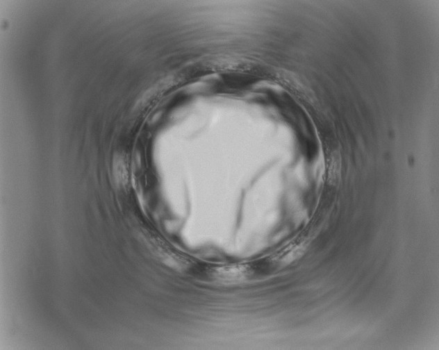 X0000075330335200609250953