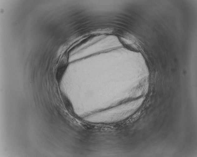 X0000075330337200609250952