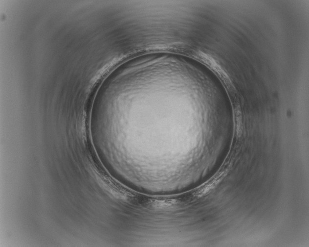 X0000075330346200609250952