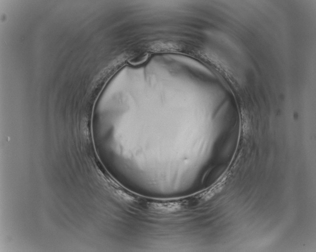 X0000075330353200609250952