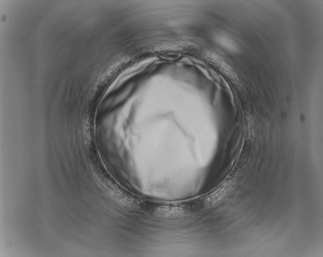 X0000075330354200609250952