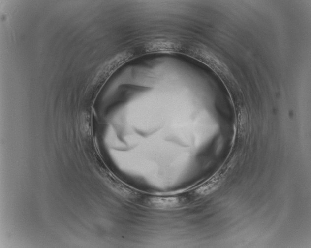 X0000075330361200609250953