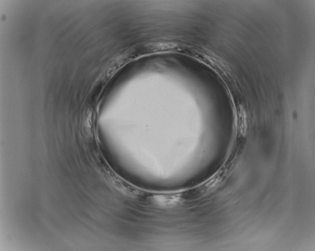 X0000075330373200609250953