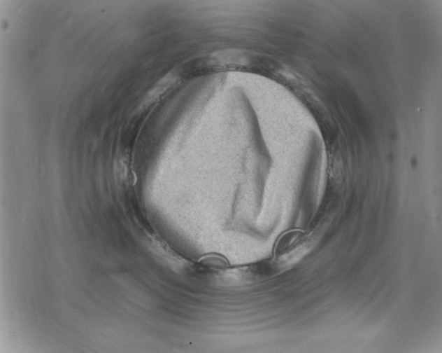 X0000075330382200609250953