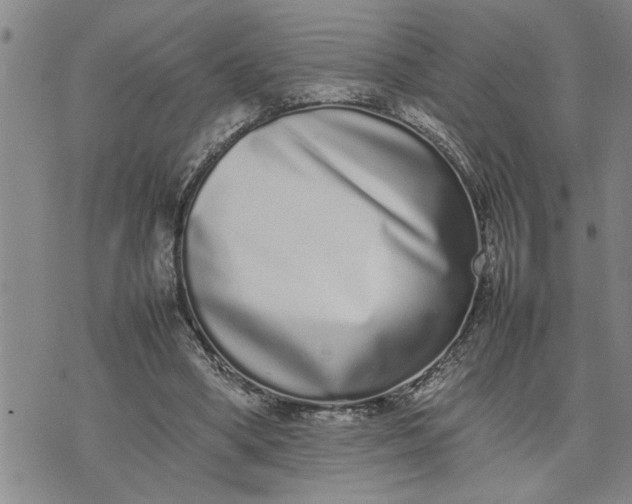 X0000075330394200609250952