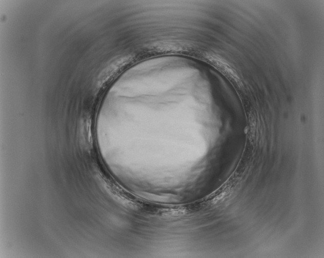 X0000075330398200609250952