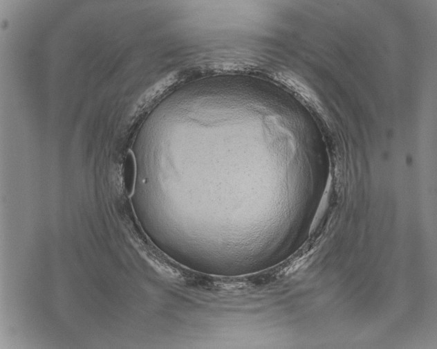 X0000075330401200609250952
