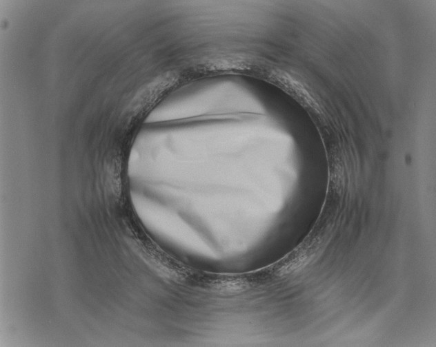 X0000075330402200609250952