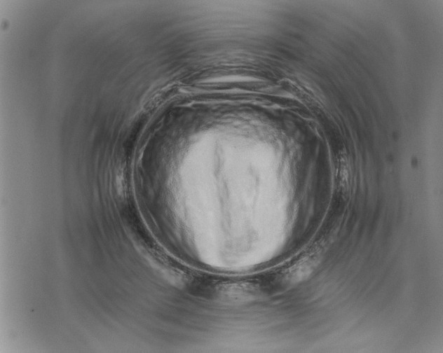 X0000075330408200609250952