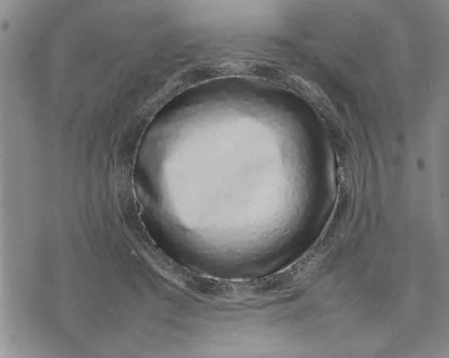 X0000075330409200609250952