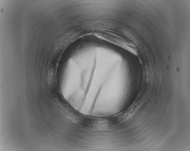 X0000075330410200609250952