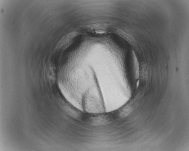 X0000075330430200609250951