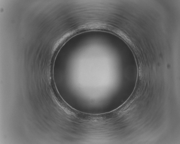 X0000075330438200609250951