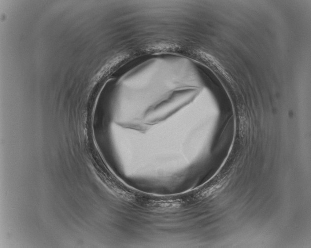 X0000075330443200609250951