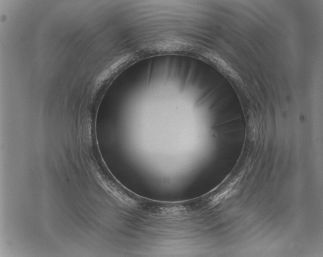 X0000075330446200609250951
