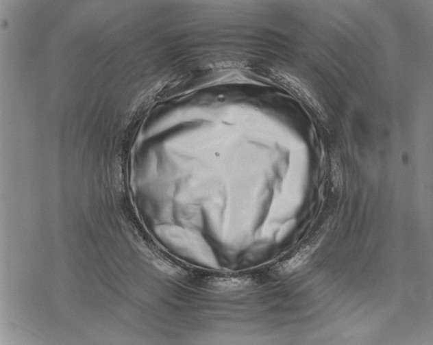 X0000075330453200609250951