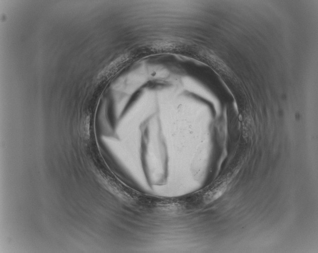 X0000075330454200609250951