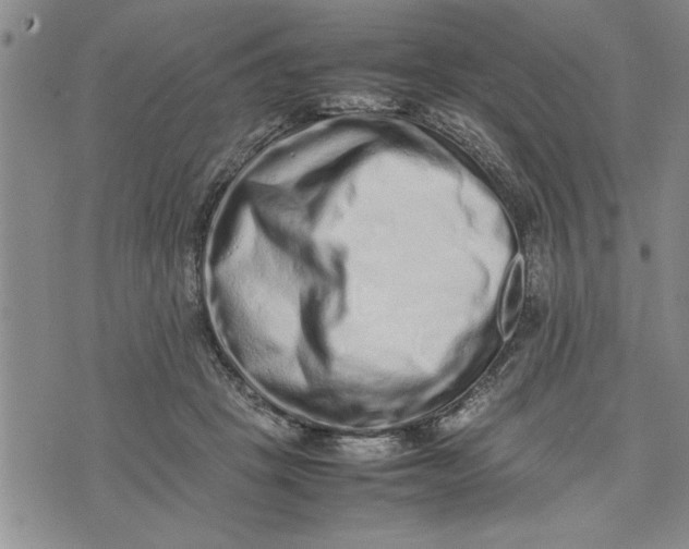 X0000075330457200609250951