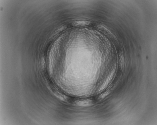 X0000075330459200609250951