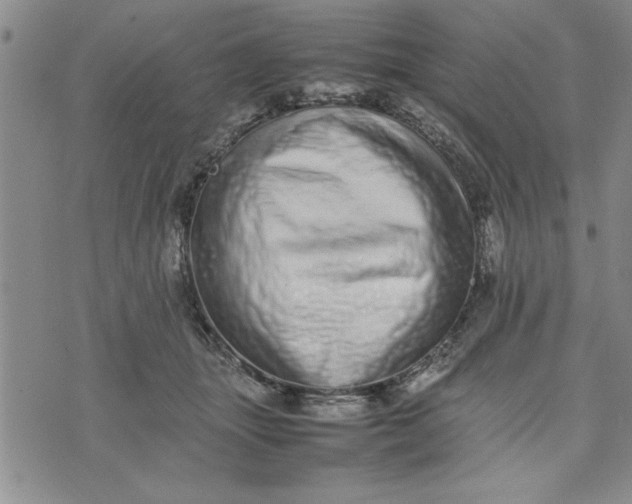 X0000075330463200609250951