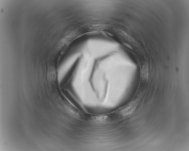 X0000075330474200609250951