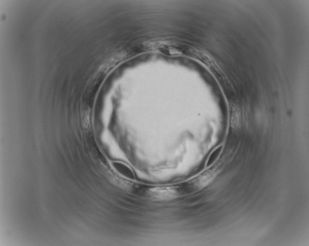 X0000075330477200609250951
